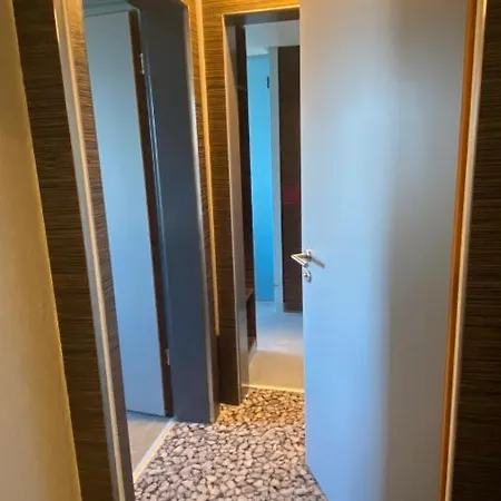 アンバサダー