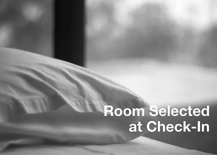 酒店 大使酒店 伯尔尼